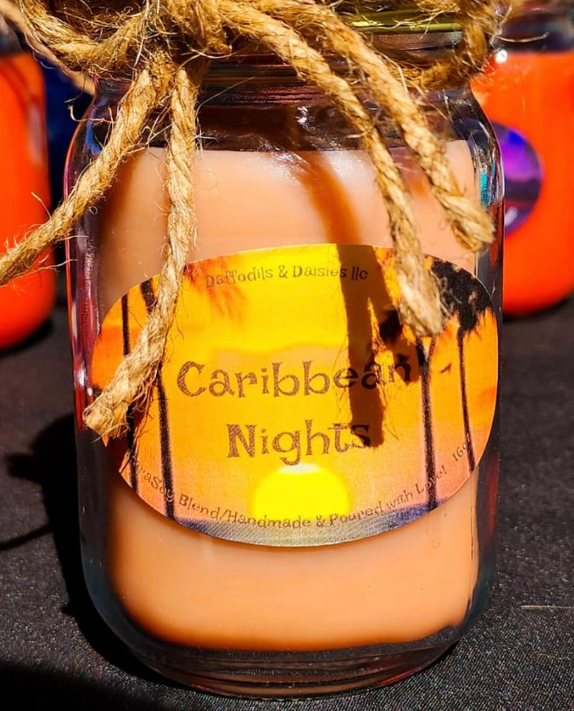 16 oz ParaSoy blend candle (Caribbean Nights)